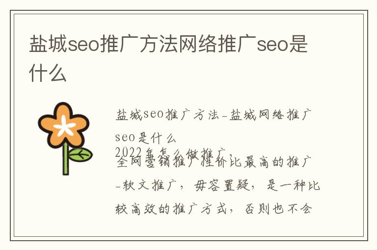 盐城seo推广方法网络推广seo是什么