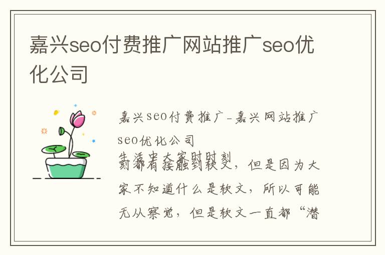 嘉兴seo付费推广网站推广seo优化公司