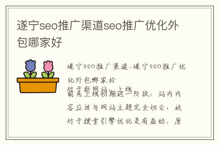 遂宁seo推广渠道seo推广优化外包哪家好