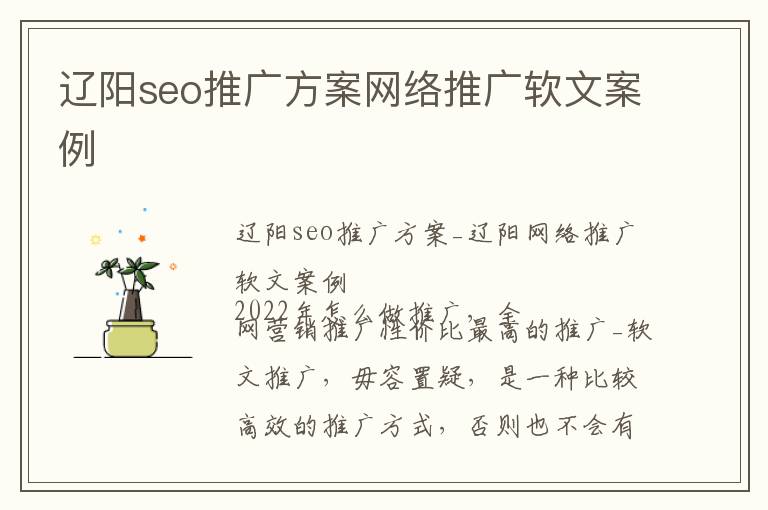 辽阳seo推广方案网络推广软文案例