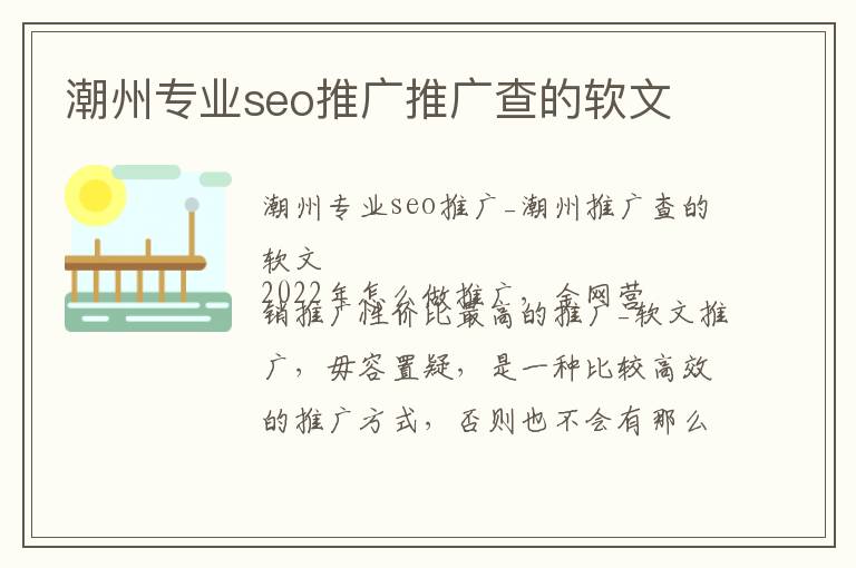 潮州专业seo推广推广查的软文