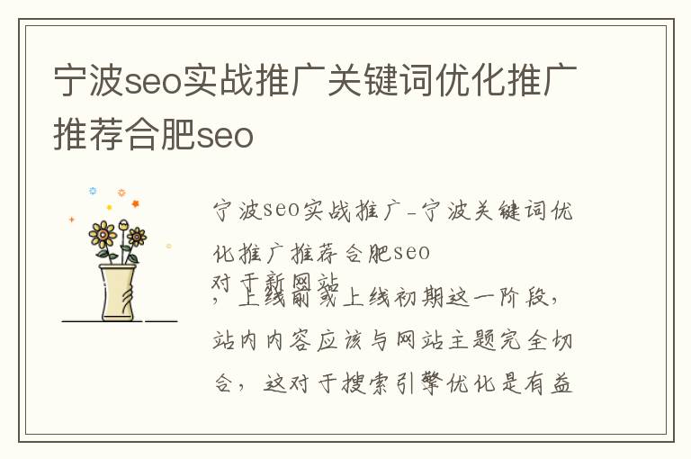 宁波seo实战推广关键词优化推广推荐合肥seo