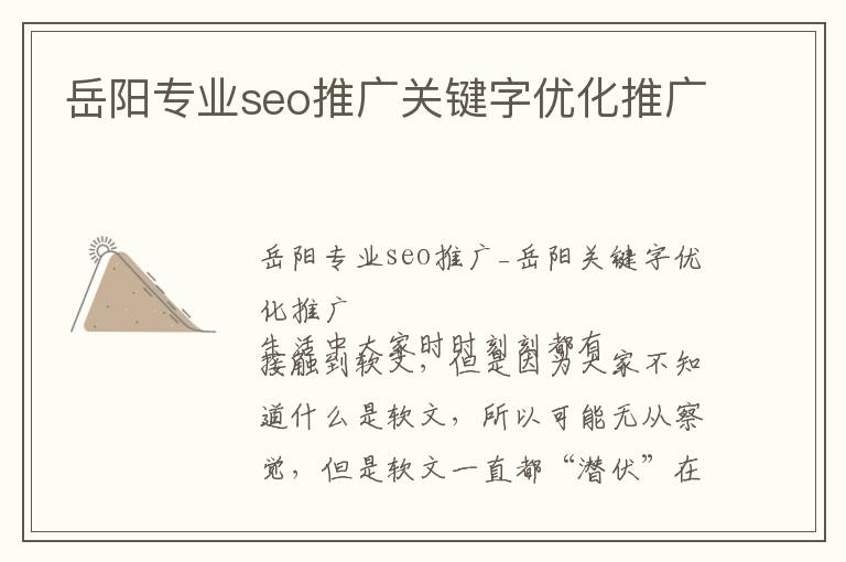 岳阳专业seo推广关键字优化推广