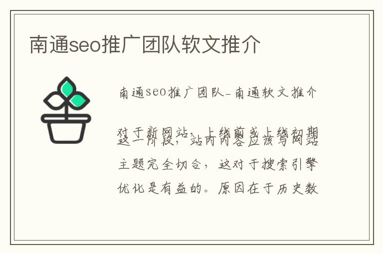 南通seo推广团队软文推介