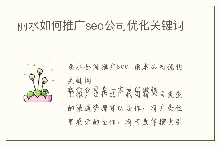 丽水如何推广seo公司优化关键词