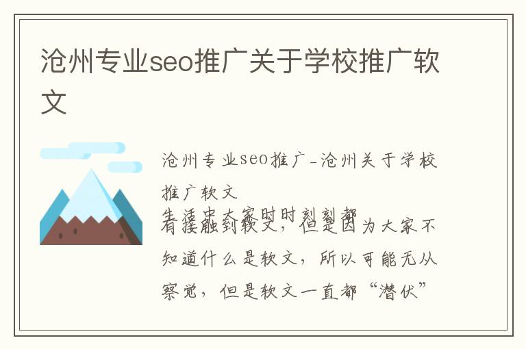 沧州专业seo推广关于学校推广软文