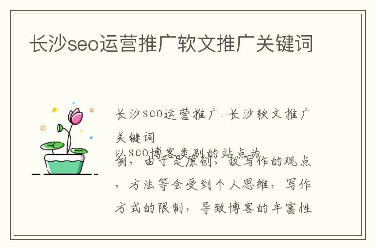 长沙seo运营推广软文推广关键词