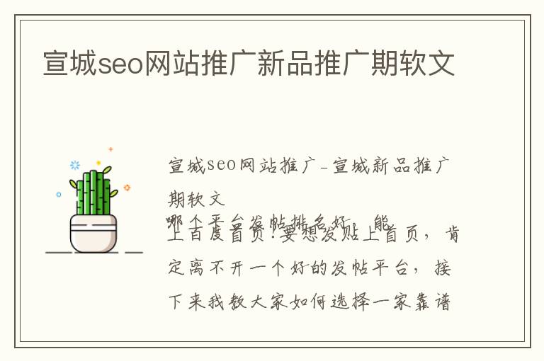 宣城seo网站推广新品推广期软文